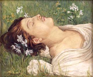 Narcissus