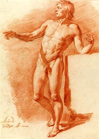 Standing Male Nude
