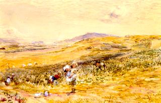 The Bean Field at Campbelltown