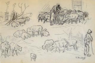 Study of sheeps and shepherds