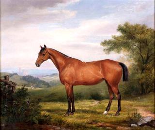 Portrait of a Bay Hunter in a Landscape with a Cathedral in the Distance