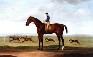 Bay Melton with Jockey Up, Bay Melton Beating King Herod, Turf and Ascham in a Sweepstake Race Beyond