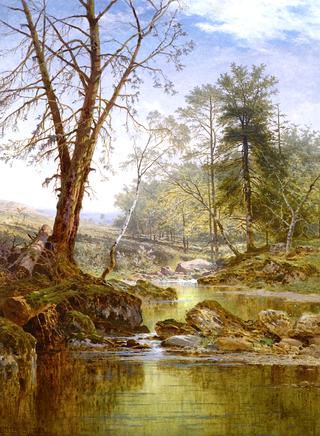 A Sunny Stream - Beardon, Dartmoor