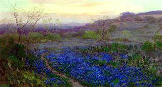 Blue Bonnets at Twilight