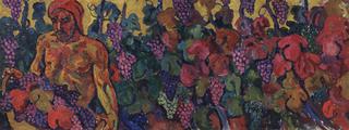 Picking Grapes