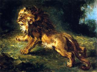 Lion Stalking Its Prey