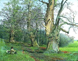 Burnham Beeches, Buckinghamshire