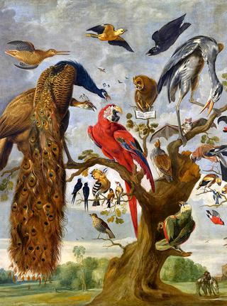 The Mockery of the Owl