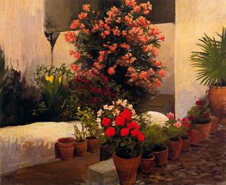 Patio with Flower Pots