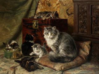 A cat and her kittens at play