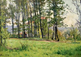 The Meadow