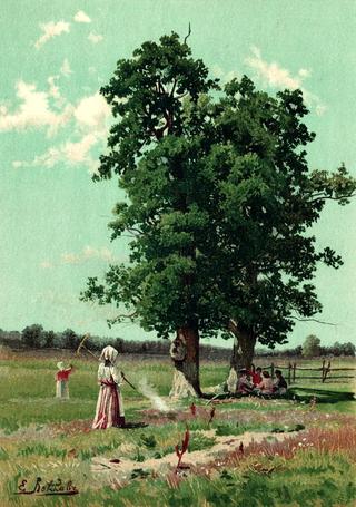 Landscape