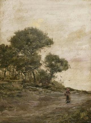 Paisaje