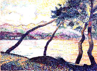 Umbrella Pines, Sainte-Maxime