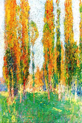 Poplars at la Bastide du Vert