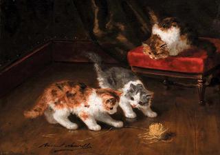 playful kittens