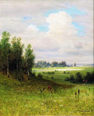 Summer Landscape
