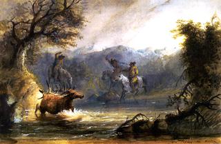 Elk Taking the Water