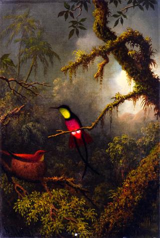 A Pair of Nesting Crimson Topaz Hummingbirds