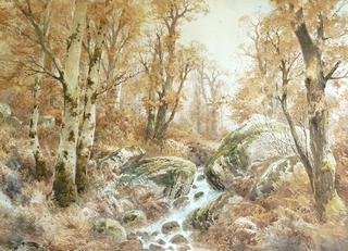 Forestry landscape