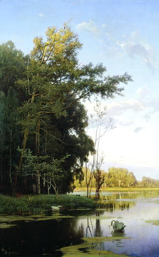 Lake in Gatchina Park