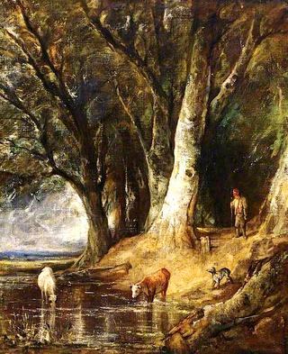 The Edge of a Wood