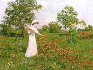 Girl in a Meadow