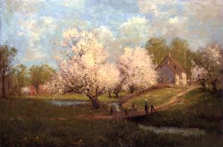 Spring Blossoms
