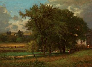 Oaks Near Medfield
