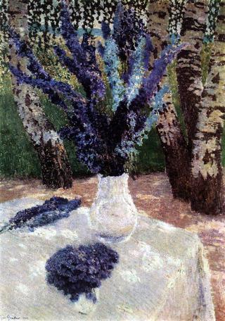Delphiniums