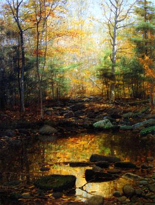 Woodland Brook