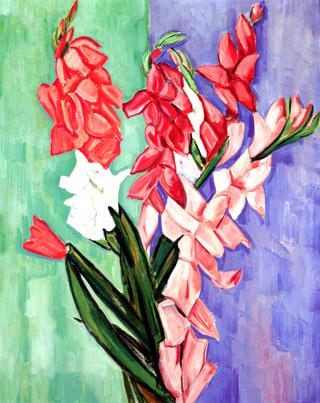 Gladioli