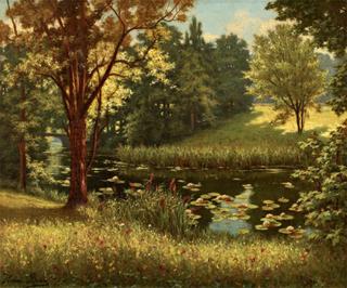Bord de rivière avec nénuphares