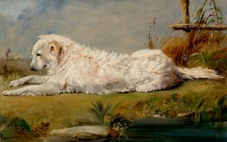 The Family Dog