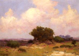 The Boerne Hills, S. W. Texas