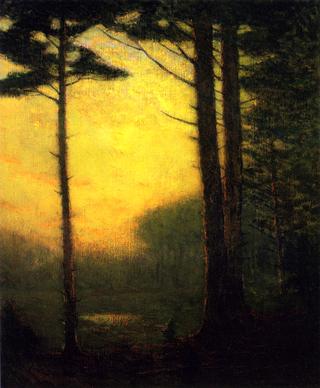 Sunset Pines