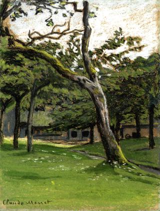 Norman Farm through the Trees