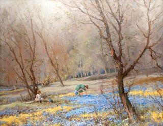 Bluebell Woods, Crookston