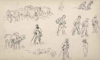 Study of sheeps and shepherds