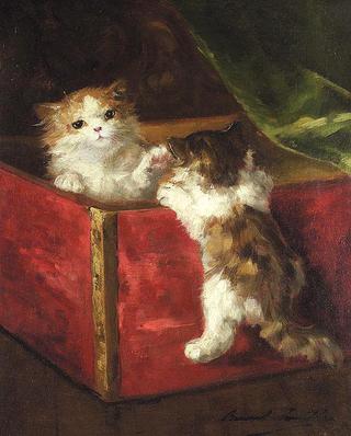 kittens in a red box