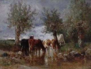 The Watering Hole