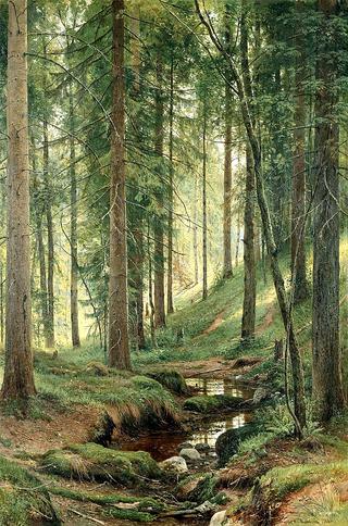 Stream in the Forest