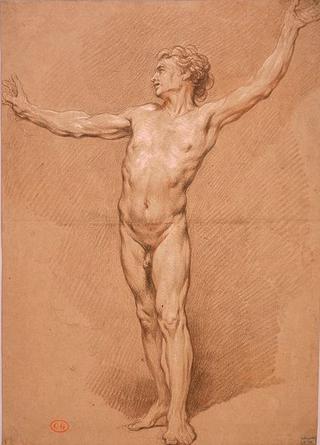 Study of a Man