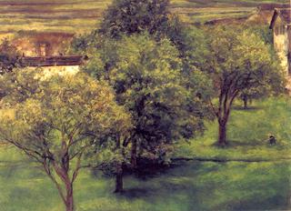 Orchard