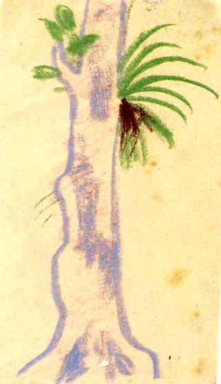 Tree Trunk