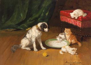hund und katz