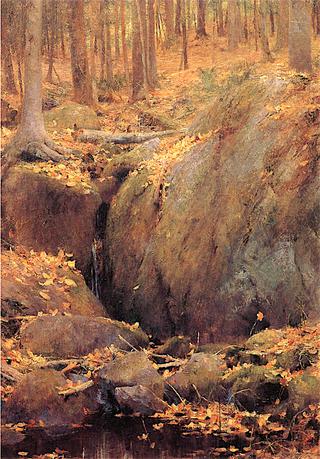Rocky Pool