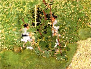 Hedge
