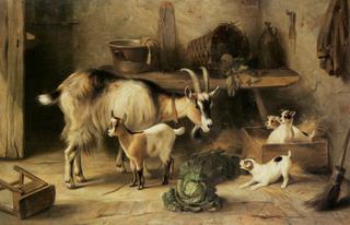 Uninvited Guests