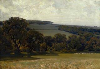 Evening in the Cotswolds